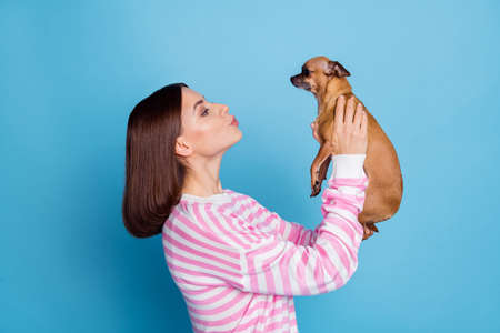 Profile photo of sweet brunette young lady kiss dog wear pullover isolated on blue color backgroundの写真素材