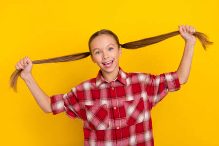 Photo of funky crazy schoolgirl wear checkered shirt holding ponytails smiling isolated yellow color...