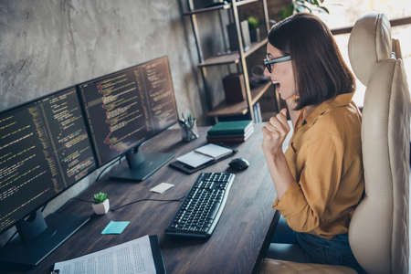 Profile side view portrait of attractive cheerful girl qualified cyber editor celebrating success...
