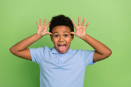 Portrait of handsome cheerful foolish pre-teen boy teasing fooling grimacing isolated over green color backgroundの写真素材