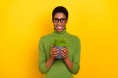 Photo of sweet charming short hair lady dressed green turtleneck holding grass pot isolated yellow color backgroundの写真素材