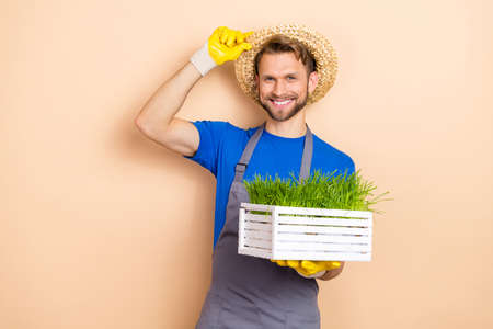 Portrait of positive guy arm touch headwear hold green plants pot isolated on beige color background
