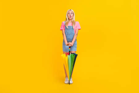 Full body photo of astonished person pouted lips hold umbrella look camera isolated on yellow color backgroundの写真素材