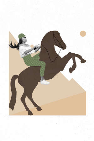 Creative retro 3d magazine collage of serious confident lady riding horse professional sport isolated drawing backgroundの写真素材