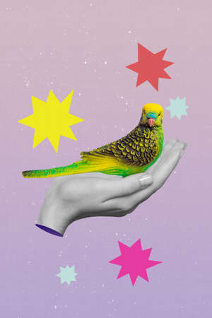 Creative collage of person palms hold green parrot concept of fauna protection saving species isolated color backgroundの写真素材