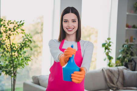 Portrait of positive pretty person hands hold cleaning spray bottle beaming smile look camera house indoorsの写真素材