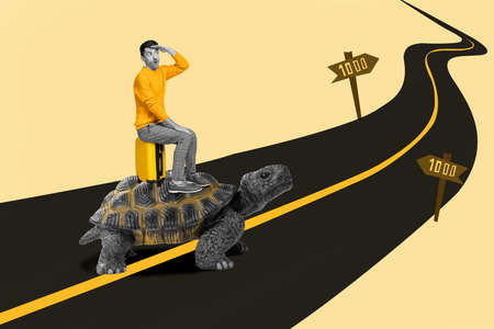 Collage picture of small shocked guy black white gamma sit ride huge turtle walk long road isolated on drawing backgroundの写真素材
