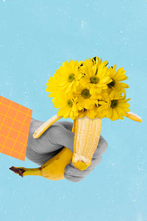 Vertical collage portrait of human hand black white colors hold banana flowers bouquet inside...