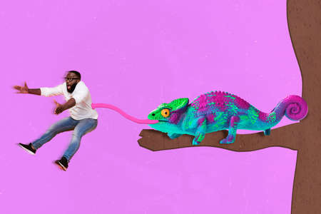 Creative collage image of chameleon sit tree branch tongue catch eat shocked guy isolated on painted backgroundの写真素材