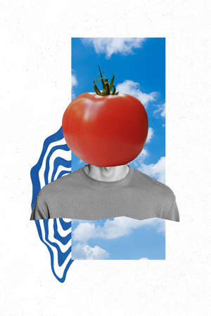 Vertical poster collage of guy tomato instead head isolated on drawing white color backgroundの写真素材