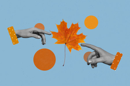 Collage 3d image of pinup pop retro sketch of hands point touch orange golden autumn maple leaf herbarium isolated drawing backgroundの写真素材