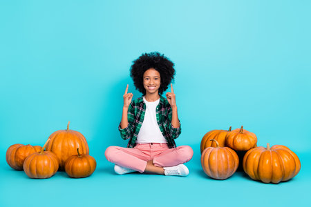 Photo of promoter lady sit floor many pumpkin direct finger empty space wear plaid shirt isolated teal color backgroundの写真素材
