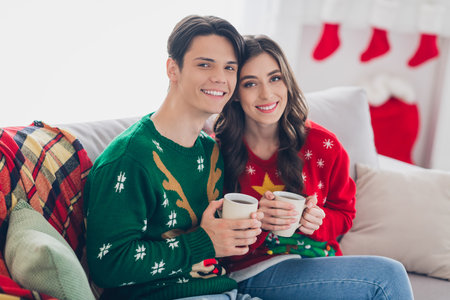 Photo of attractive positive partners enjoy cozy time home relax rest after preparing holiday event spend time together indoors house roomの写真素材