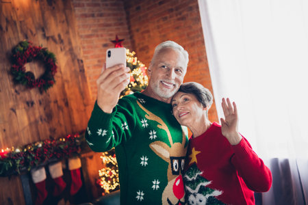 Photo of two elderly soulmates hold telephone make selfie arm palm waving hi festive decor illumination house indoorsの写真素材