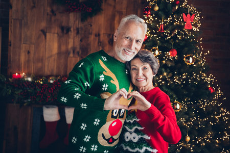 Photo of two idyllic lovely partners touch hands showing heart gesture decorated evergreen garland indoorsの写真素材