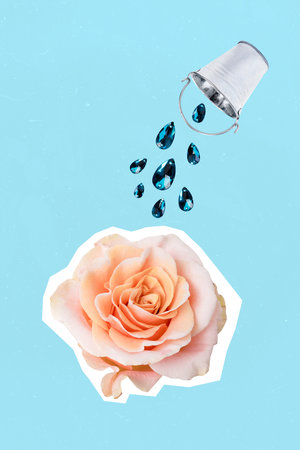 Collage photo of beautiful fresh natural organic beige pink rose bucket watering flower floriculture plant care isolated on blue backgroundの写真素材