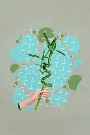 Vertical collage of human arm hold natural green flower plant isolated on painted checkered creative backgroundの写真素材