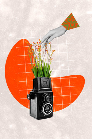 Collage photo of growing warm climate blooming natural organic flowers grass inside old technology photo camera isolated on plaid backgroundの写真素材