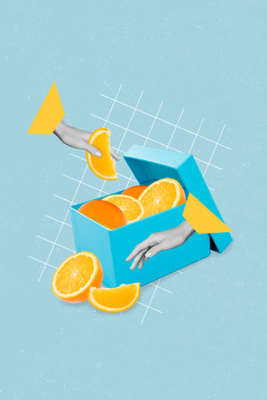 Vertical collage image of black white gamma hands hold touch opened box orange fruit slices isolated on drawing backgroundの写真素材