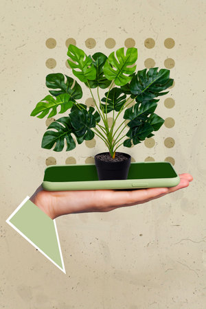 Vertical collage picture of human arm palm hold telephone screen houseplant isolated on painted backgroundの写真素材