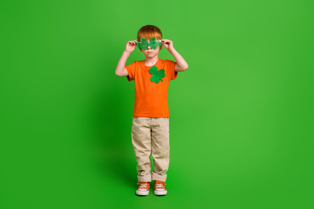 Photo of sweet boy wear shamrock decorate spectacles saint patrick leprechaun costume isolated green color backgroundの写真素材