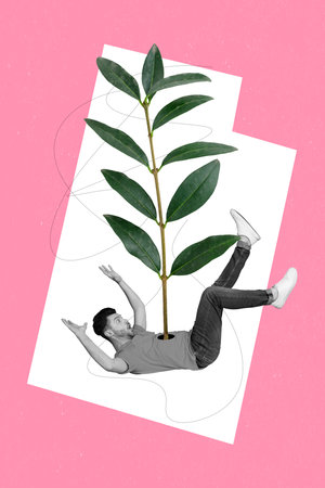 Creative picture pop collage of fantasy young guy falling down have green seeding grow from his abdomenの写真素材
