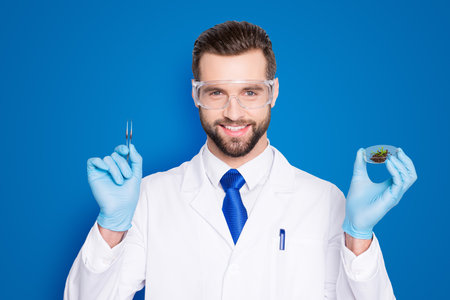 Portrait of attractive biologist in white outfit with tie, showing having forceps and vial with field and small plant, going to make expertising, inspection, isolated on grey backgroundの写真素材