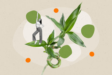 Composite photo banner creative artwork template collage of young satisfied carefree florist lady foliage houseplant isolated on drawing backgroundの写真素材