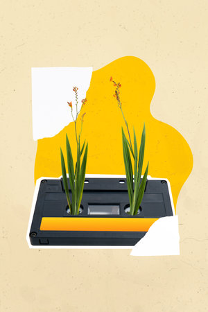 Vertical collage image of retro audio tape cassette growing flower isolated on creative painted backgroundの写真素材