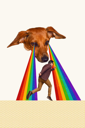 Collage image picture poster weird photo of dog watching running man silhouette isolated on painted backgroundの写真素材