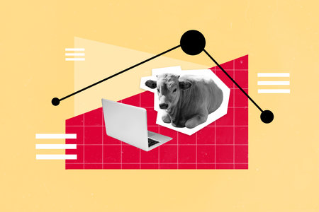Composite collage portrait of black white colors cow laying use wireless netbook isolated on creative backgroundの写真素材