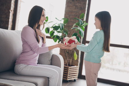 Photo of positive excited mother daughter wear casual outfits getting heart shape gift box indoors house roomの写真素材