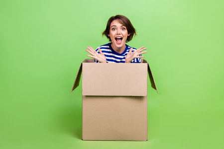 Full length photo of ecstatic overjoyed woman wear sailor shirt denim trousers sit in box screaming isolated on green color backgroundの写真素材