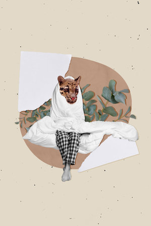Collage of headless woman sleep wear pajama wrap huge comfortable blanket early morning awakening tiger face isolated on beige backgroundの写真素材