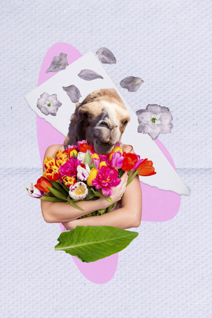 Vertical collage image of camel head girl arms hold embrace fresh spring flowers bouquet isolated on drawing paper backgroundの写真素材