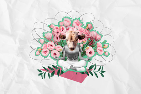 Creative banner postcard international women day sitting girl headless cow animal meditation bunch pink roses isolated on grey backgroundの写真素材