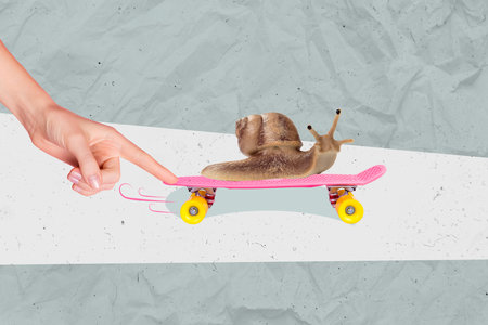 Conceptual collage picture template of funny wild animal slither snail riding quick skateboard sport hobby isolated on grey backgroundの写真素材