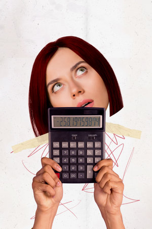 Creative drawing collage picture of irritated face female hold calculator bankruptcy money crisis...