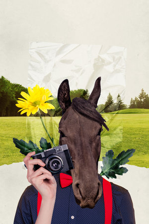Surreal image collage of figurative weird personage horse head instead face hold camera photographing landscape wild lifeの写真素材