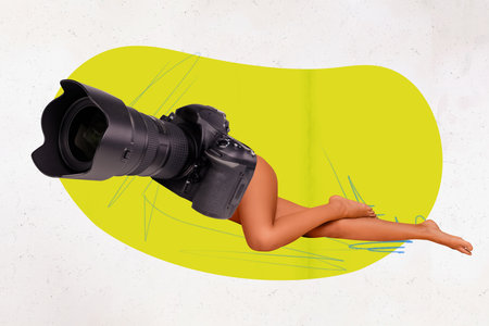 Photo collage artwork picture of sexy charming lady professional camera instead body isolated...