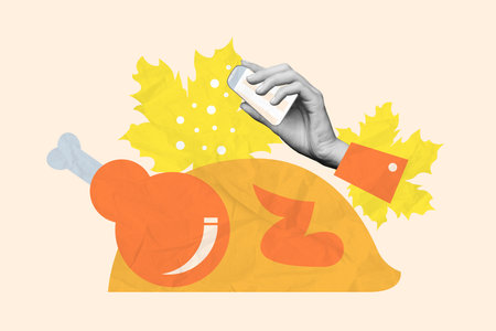 Artwork image collage of female arm seasoning traditional turkey tasty meal isolated on white drawing backgroundの写真素材