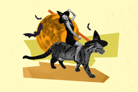 Creative template collage image of excited witch lady riding tiger halloween party isolated colorful backgroundの写真素材