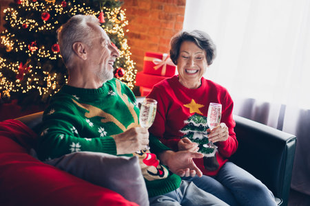 Photo of two funny positive aged people sit couch hold champagne glass speak joking laugh evergreen tree illumination indoorsの写真素材