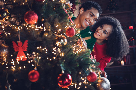 Photo of two positive people decorate pine tree hanging lights garlands feel cozy comfy in traditional house indoorsの写真素材