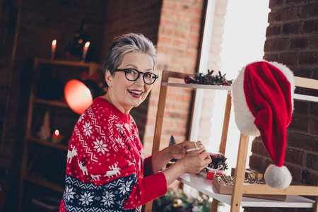 Profile portrait of cheerful aged person hands hold make little new year gifts santa hat shelf house indoorsの写真素材