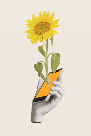 3d retro abstract creative artwork collage of hand holding display screen device grow sunflower freak bizarre unusual fantasy billboardの写真素材
