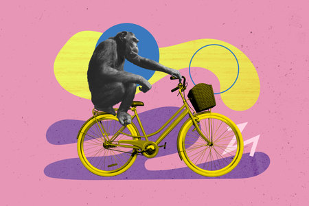 Creative drawing collage picture of funny monkey cycling traveler adventure shopping weird freak bizarre unusual fantasyの写真素材