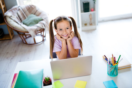 High angle view photo of sweet smart girl sit chair arms touch cheeks online courses netbook flat indoorsの写真素材