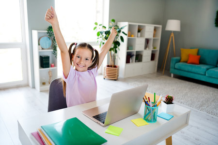 Photo of cheerful overjoyed girl sit chair raise fists achievement wireless laptop desktop apartment...
