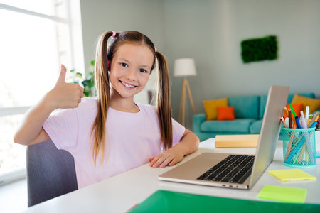 Photo of small cute intelligent girl sit chair demonstrate thumb up desktop wireless netbook apartment indoorsの写真素材